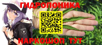 каннабис Кимры