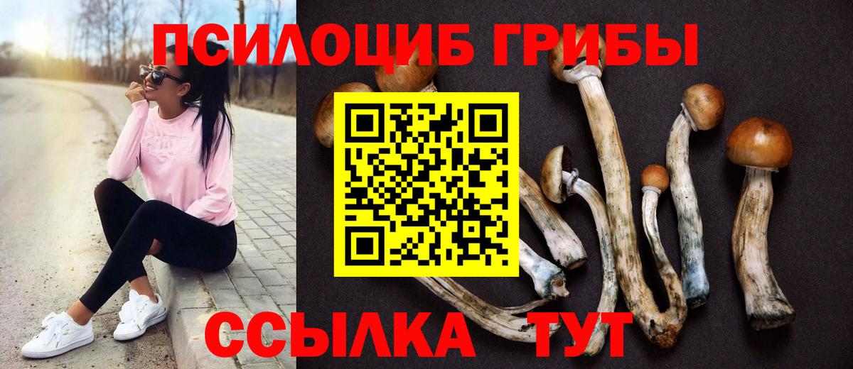 Псилоцибиновые грибы Psilocybine cubensis Железноводск