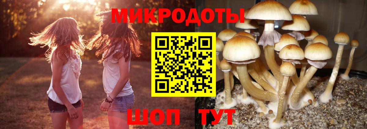 Галлюциногенные грибы Cubensis  Вход с VPN  закладка  Железноводск 